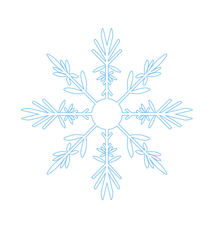 snowflake1