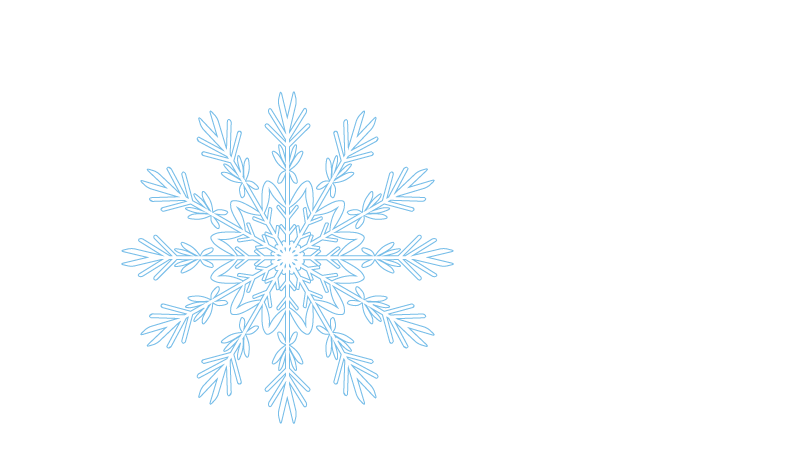snowflake5