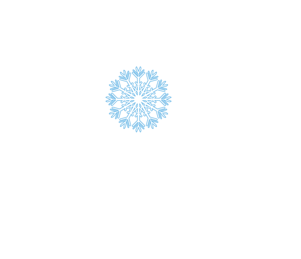 snowflake6