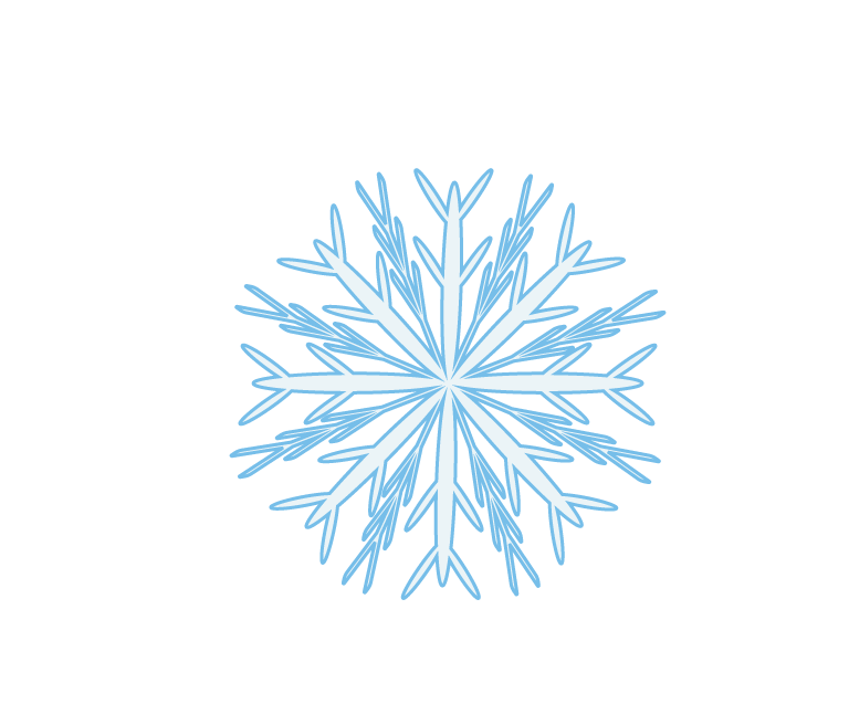 snowflake8